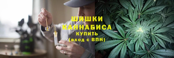 шишки Богданович