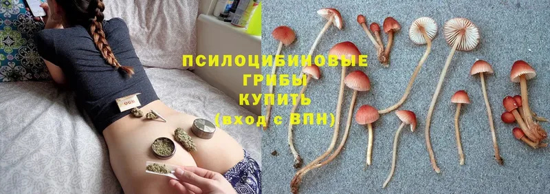 Псилоцибиновые грибы Cubensis  MEGA ONION  Дальнереченск 